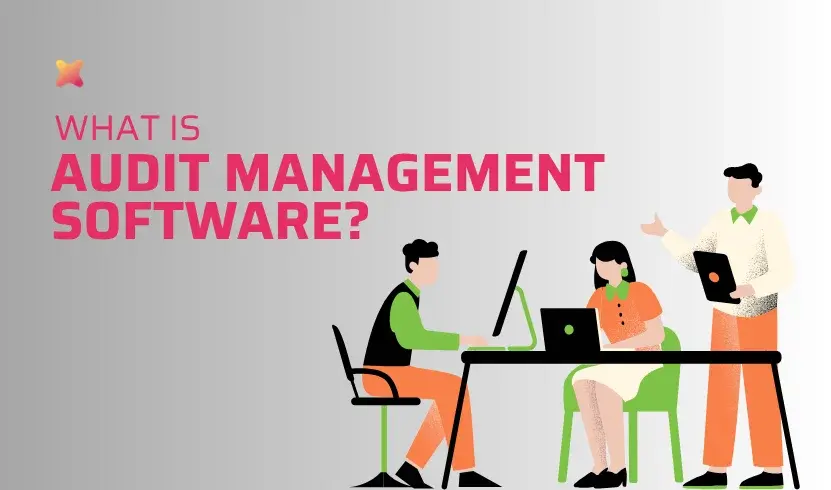 What is Audit Management Software What is Audit Management Software