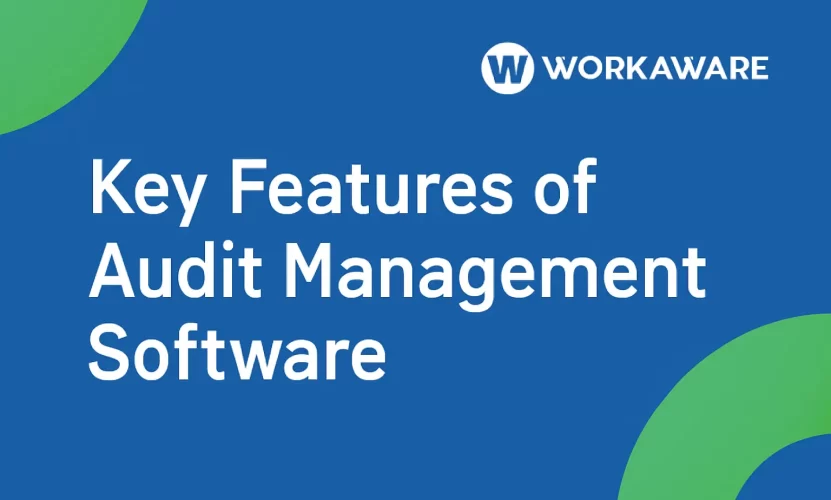 Key Features in Audit Software